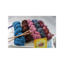 Le Fil Lace de Malabrigo
