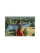 Tricot dentelle Plume de paon