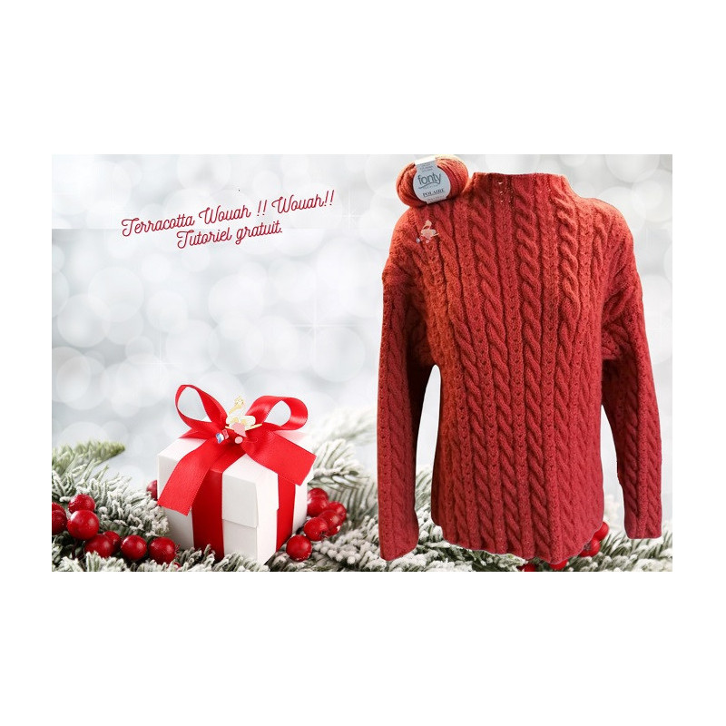Tutoriel Gratuit : Le Pull Femme "Torsades Polaire" 