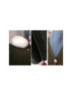 Tutoriel tricot Gratuit : Le Gilet Femme "Courtes Manches"